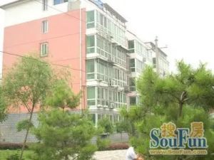 神龙辛屯小区2室1厅南北