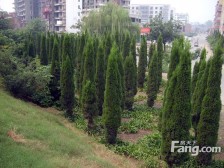 南关洛浦公园1室一厅低楼层价格优惠主推房