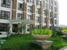 橡树湾 1室1厅 南