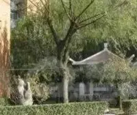 嗯 没别的 就是便宜 企业产 6楼顶楼 不能贷款