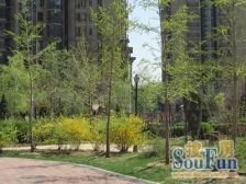 珠江帝景博悦2室1厅南