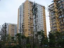 诚心出售!首科花园满五年唯一全南向3居室户型方正