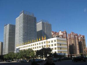 奈伦国际 装修富丽堂皇大四居 摩尔城 新华大街 地铁口