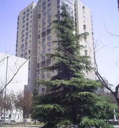 整租·白纸坊·建功北里二区·2室