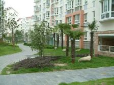 绿景苑1室1厅北