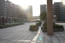 毛坯两室子龙旁边交通便利107国道旁边