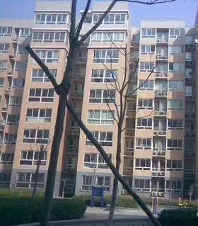 金雅园
