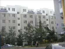 鹏辉新世纪五期楼龄新一些,采光充足,总价低。