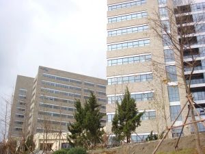软件园大两室南北通透光线好随时看