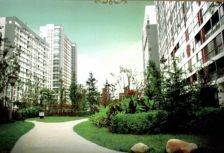 开元上城两居室,70年大产权精装修小区中间位置