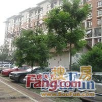 果园233号院 满五年唯一 中间楼层
