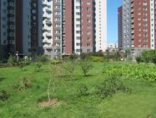 四方景园三区满五唯一两居,户型方正无浪费看房方便