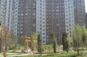 华龙美树满五唯一商品房不临街采光好