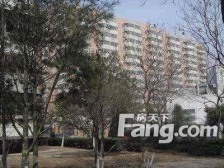 白家庄附近:三里屯南路动向电梯中层两居,满五年,业主诚意出售