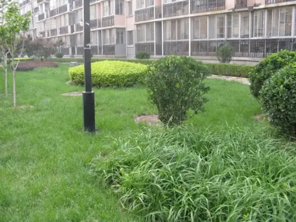 二拨子新村