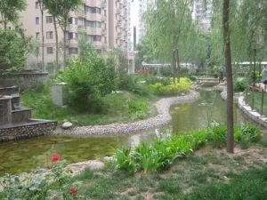 广渠门内大街2室1厅南