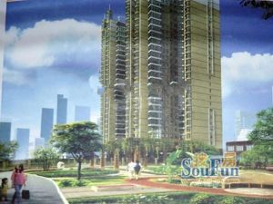 近大剧院龙湖公园观景房老证过户费低