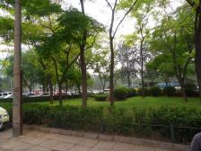 灯市口北河沿大街将装修一居室拎包住采光好