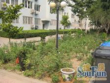 西单·太仆寺街·4室·2厅