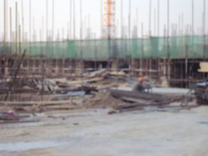 左岸绿洲4室2厅南北