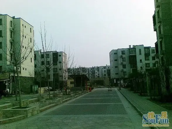 金泽园