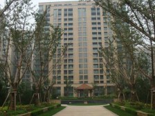 奥体市政府南 法式四层电梯洋房 带院子有车位 近地铁