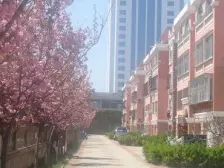 海滨路独栋别墅,前后院,上下三层,无低点,利用率高