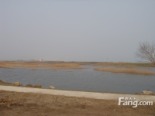 景观湿地2011-4-09