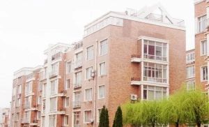 罕见多层4顶中间层一室南北东明厅,近地铁1号和2号线