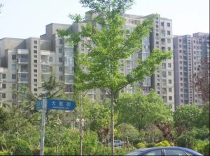 万达华府一期3室1厅南北