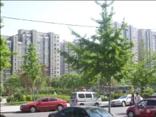 万达华府 满五年唯一手续清晰,楼层好采光足,视野好