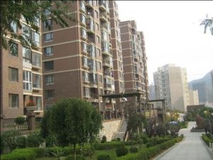 高新马栏沿线泊林和山新上,楼层好采光好
