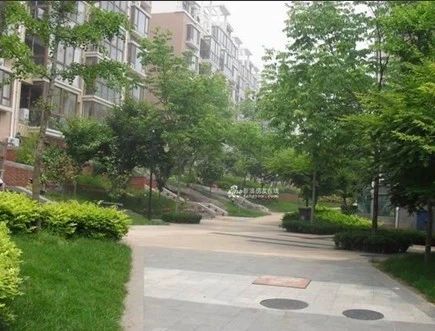 城市生活家2室1厅1卫南北朝向3500.00元/月出租