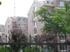 水仙花园 人民广场 奥林匹克 劳动公园