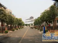 联排别墅 小区环境幽静 绿化好 物业管理好严格