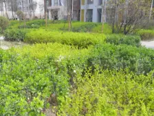 全款房,精装修,目前空置,看房方便