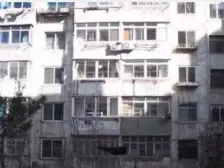 华南沃尔玛六一路 2室1厅 南 北