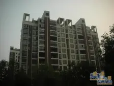 好位置 低楼层 大四房 采光好