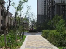 中海物业 两室两厅 采光充足 视野开阔 无遮挡