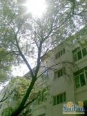 西康路片地。铁。旁三室可贷款宜居