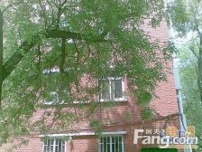 五大道内私产岳阳道可贷款中间楼层无遮挡