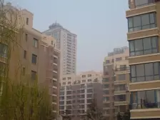 连大二期,一室格局,精装修,志平,101,