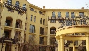 金石明珠类独栋地上三地下二有车库临近门口