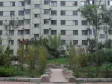 金地新里程 1室0厅 北