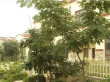 近世界和平公园,联排海景别墅,视野开阔