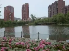 房主手续清晰 诚心出售 随时签约小区设施齐全出行方便