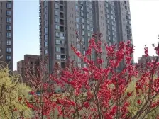 轻轨终点,出行方便,高楼层采光好