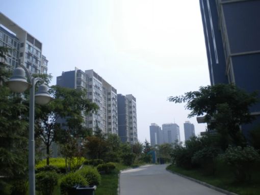 泉景天沅秀园3室2厅1卫南北朝向3800.00元/月出租