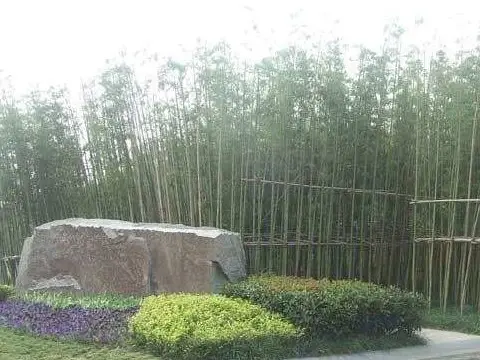 水云居