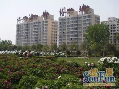 洛浦御博城1室1卫南朝向800.00元/月出租